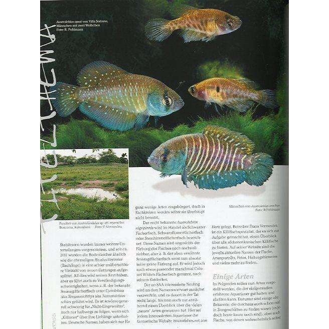 AMAZONAS（アマゾナス）　2015年11月/12月号　Ｎｏ．６2　（送料無料） |  | 02