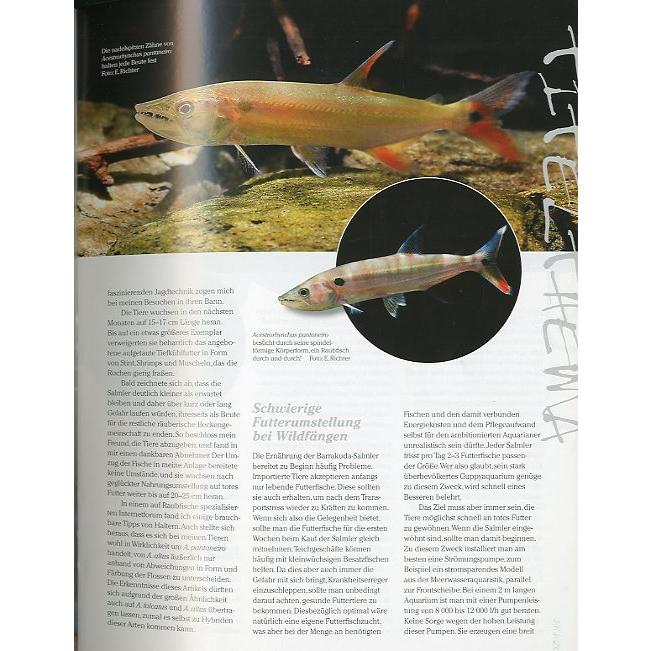 AMAZONAS（アマゾナス）　2016年1月/2月号　Ｎｏ．６3　（送料無料） |  | 02