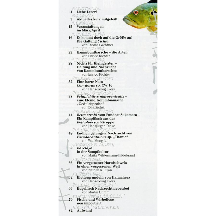 AMAZONAS（アマゾナス）　2017年3月/4月号　Ｎｏ．70　（送料無料） |  | 01