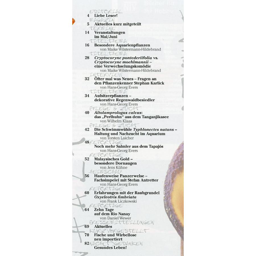 AMAZONAS（アマゾナス）　2017年7月/8月号　Ｎｏ．72　（送料無料） |  | 01