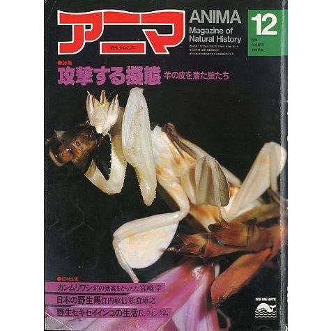 アニマ＜ＡＮＩＭＡ＞　１９８１年１２月　　Ｎｏ．１０５　　＜送料込＞ | 