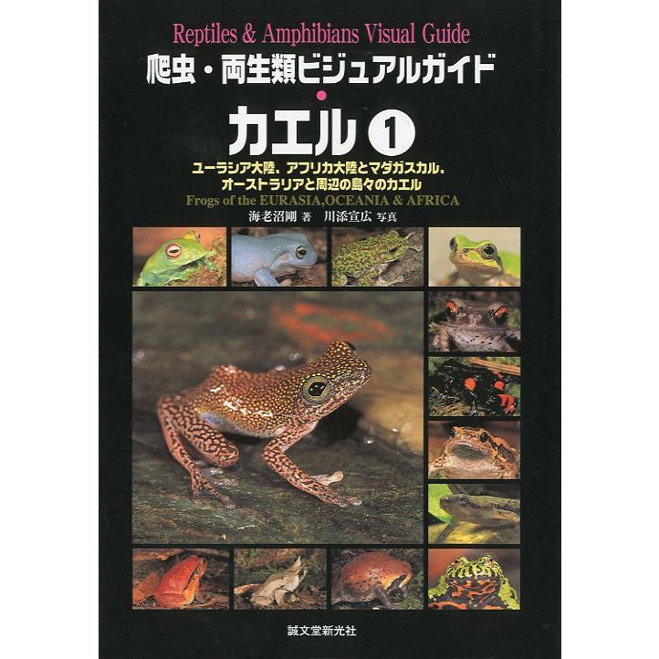 爬虫・両生類ビジュアルガイド カエル1 ＜送料無料＞ : さかなの本屋