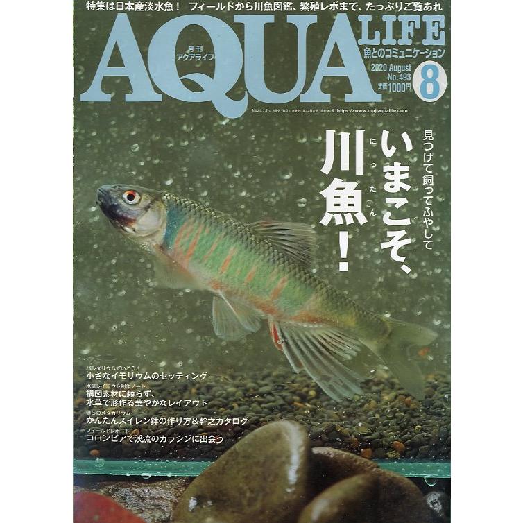 アクアライフ 2020年8月号 通巻560号 : さかなの本屋さん