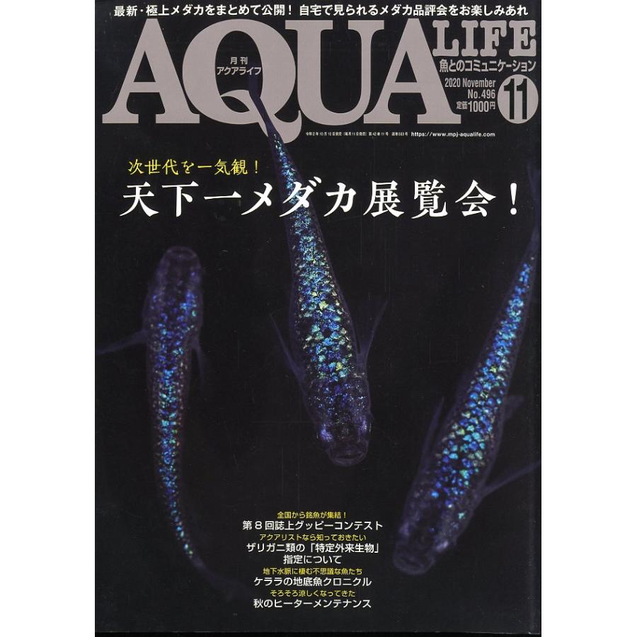 アクアライフ (2013年1月〜2015年12月) アクアライフ 2020年11月号 通巻563号 : さかなの本屋さん