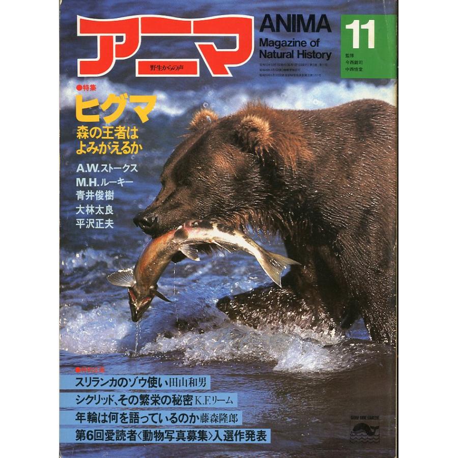 野生からの声　アニマ　　1981年11月号・Ｎｏ．104 | 