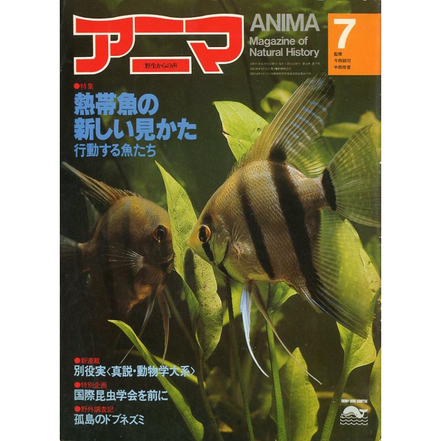 野生からの声　アニマ　　1980年7月号・Ｎｏ．88 | 
