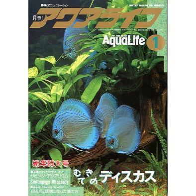 アクアライフ　　１９９２年１月号　 | 