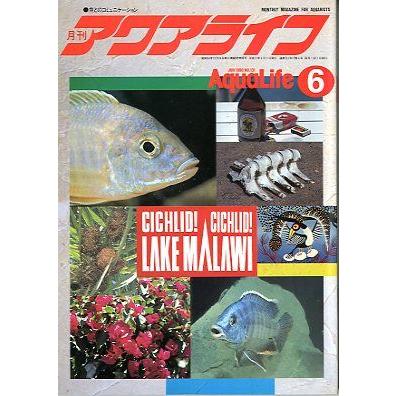 アクアライフ　　１９９０年６月号　　 | 