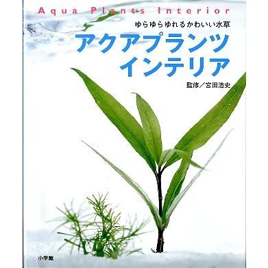 アクアプランツ　インテリア | 