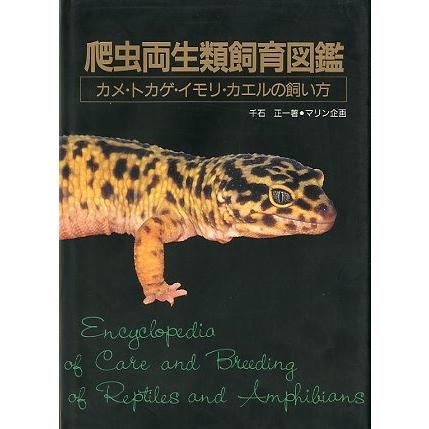 爬虫両生類飼育図鑑　ーカメ・トカゲ・イモリ・カエルの飼い方ー　（状態表記をご確認ください） | 