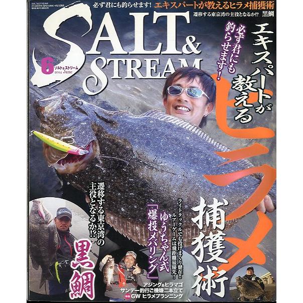 SALT&STREAM（ソルト＆ストリーム）　２０１４年６月号　 | 