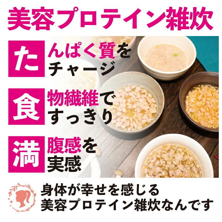 ヘルシースタイル雑炊 6種類108食ダイエット食品 置き換えダイエット