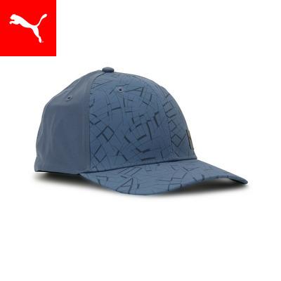 PUMA（プーマ） 『22日‐23日20倍』【公式】 メンズ ゴルフ PF AOP