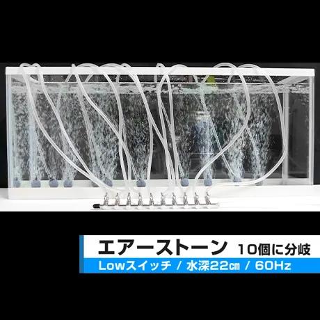 C-8000 エアーポンプ Ｃ−８０００ テクノ高槻 キョーリン １年保証付 | テクノ高槻 | 05