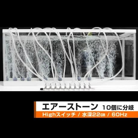 C-8000 エアーポンプ Ｃ−８０００ テクノ高槻 キョーリン １年保証付 | テクノ高槻 | 06