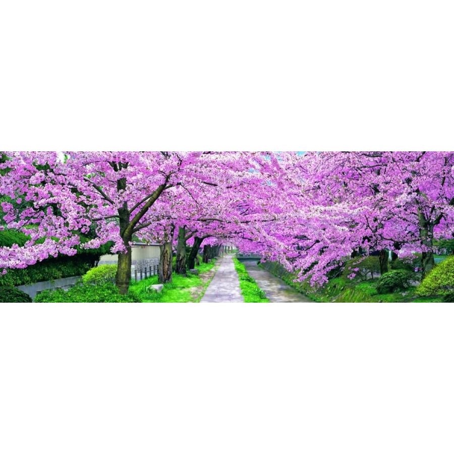 上質で快適 1518ピース ジグソーパズル パズルの達人ワイド 咲き誇る哲学の道 京都 スモールピース 34x102cm S 1913 ぷにぷにモール 通販 Yahoo ショッピング 楽天1位 Www Ladislexia Net