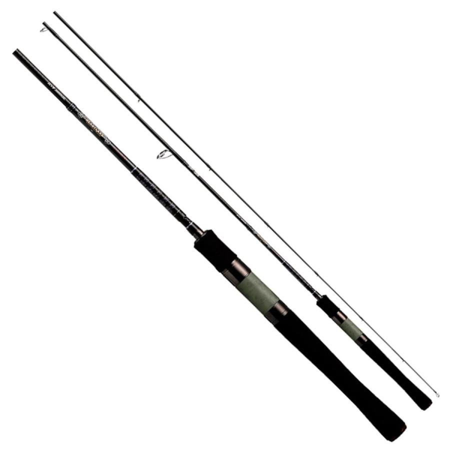 新しい到着 ダイワ Daiwa バスロッド スピニング ハートランド スピニングモデル 671lfs 18 バス釣り 釣り竿 高い素材 Zoetalentsolutions Com
