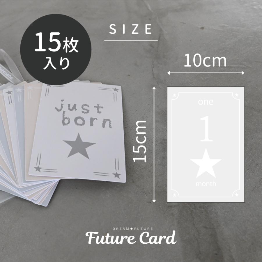 月齢 未来カード 収納袋付き 月齢 選び取り カード 1歳 フォト 昼寝アート マンスリー 記念日 お祝い 誕生日 おしゃれ Puppapupo 通販 Yahoo ショッピング