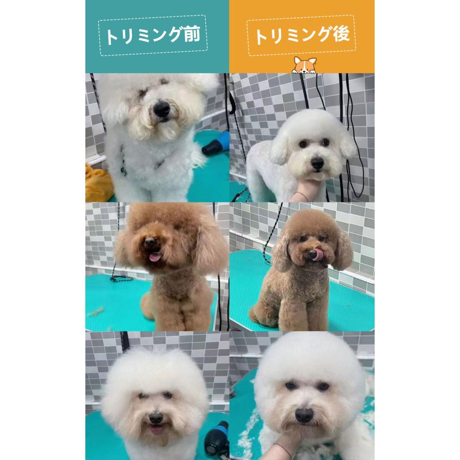 トリミングテーブルアーム いつものテーブルで使える トリミング台
