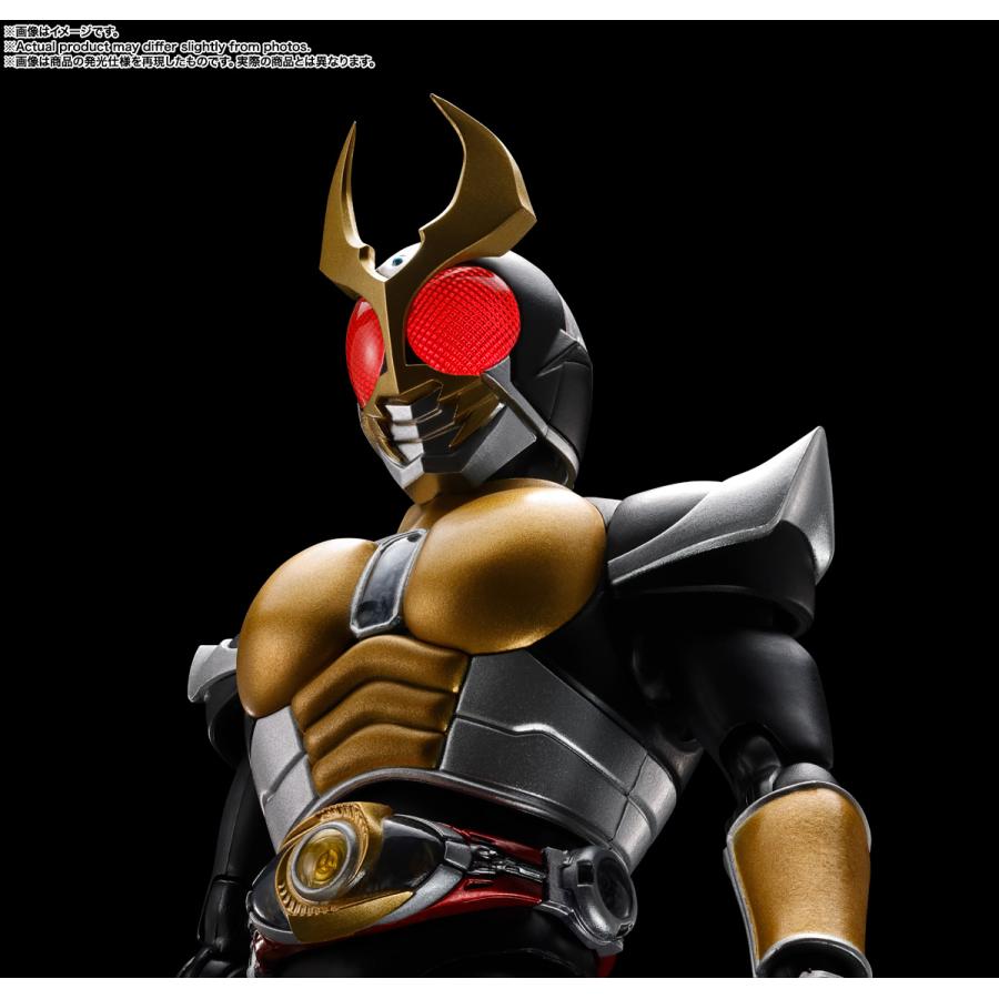 BANDAI（バンダイ） S.H.Figuarts (真骨彫製法) 仮面ライダーアギト