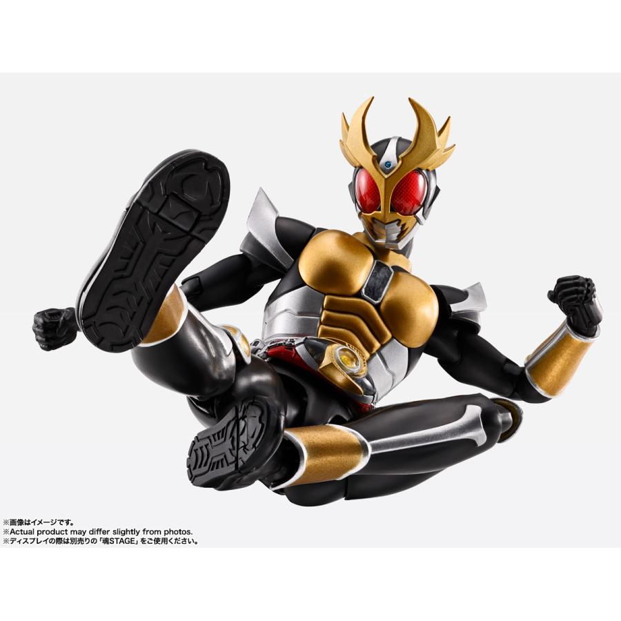 BANDAI（バンダイ） S.H.Figuarts (真骨彫製法) 仮面ライダーアギト