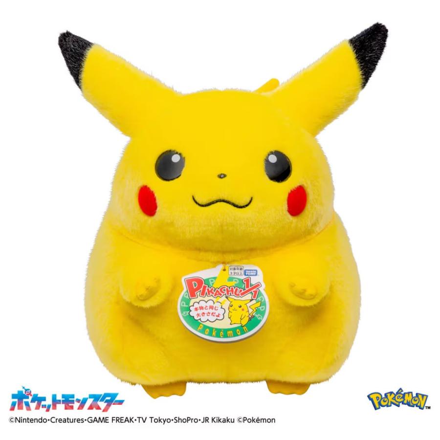 ポケットモンスター ポケモン30周年記念 おかえり！ピカチュウ1/1の画像