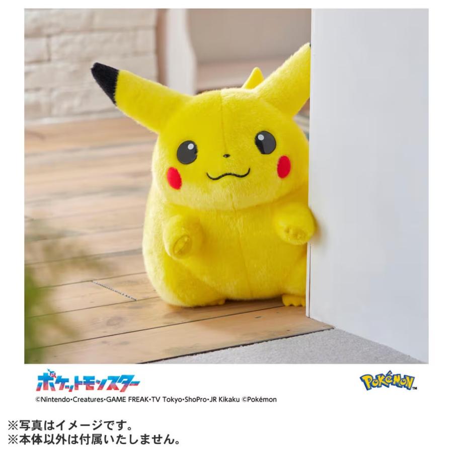 ポケットモンスター ポケモン30周年記念 おかえり！ピカチュウ1/1の画像