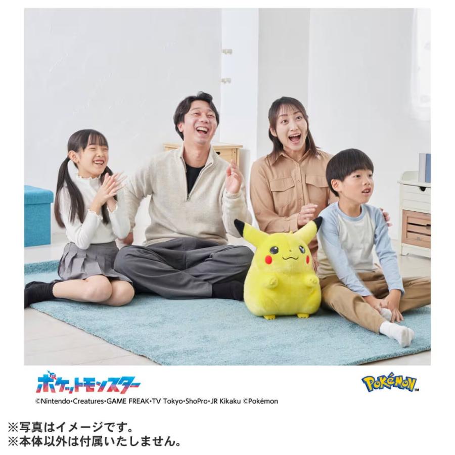 ポケットモンスター ポケモン30周年記念 おかえり！ピカチュウ1/1の画像