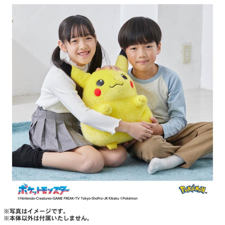 ポケットモンスター ポケモン30周年記念 おかえり！ピカチュウ1/1の画像