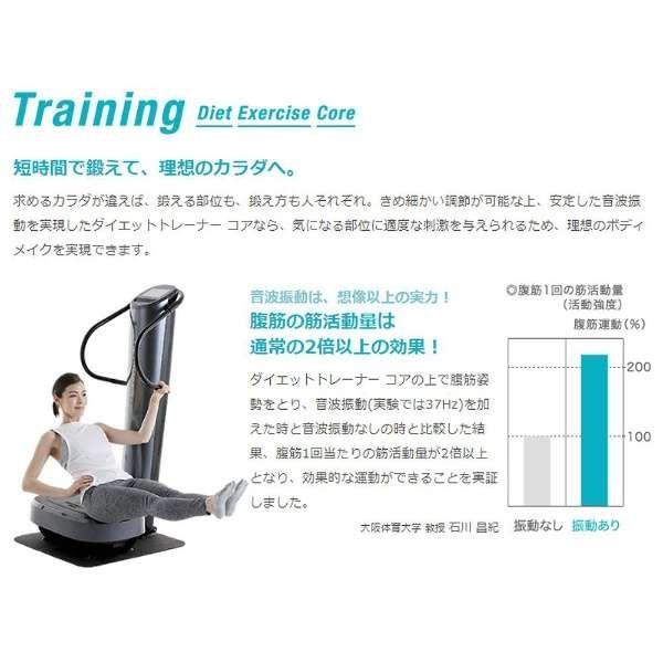 フジ医療器 ダイエットトレーナーコア 音波振動フィットネス機器 DT 