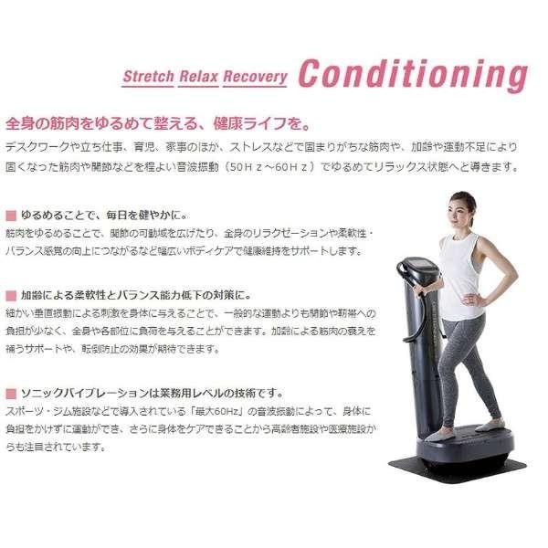 フジ医療器 ダイエットトレーナーコア 音波振動フィットネス機器 DT-C1000 設置ご相談｜puraiz｜04