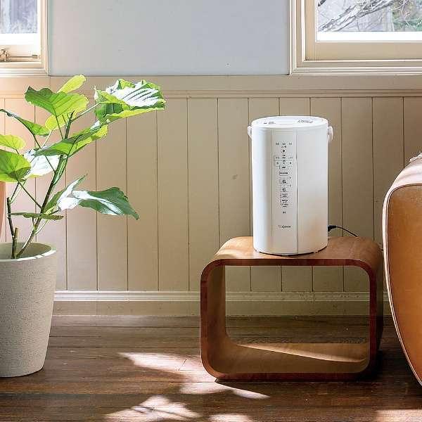 象印 スチーム式加湿器 ホワイト [EE-DC50-WA] : プライズ - 通販 