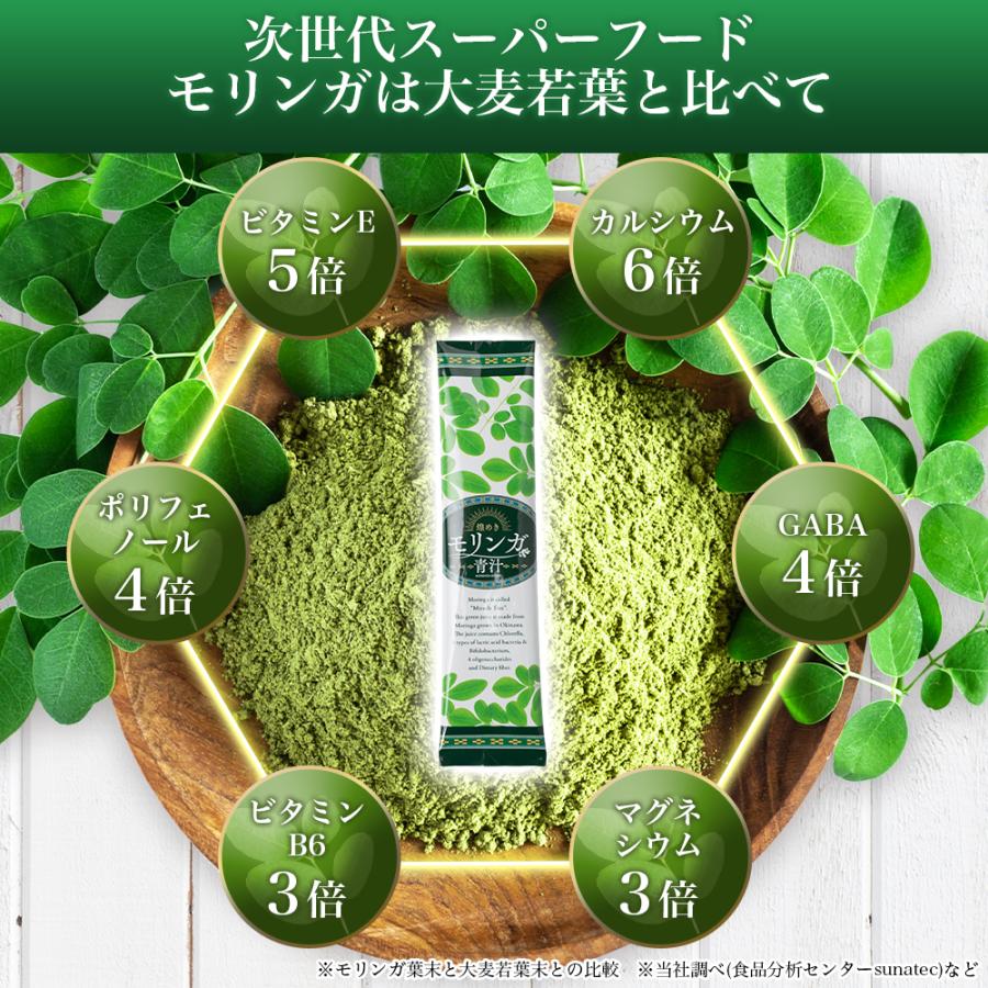 モリンガ 粉末 青汁 沖縄県産 モリンガパウダー 乳酸菌 モリンガ 粉末 青汁 沖縄県産 モリンガパウダー 乳酸菌