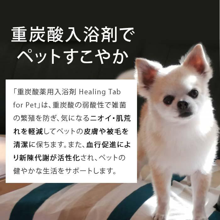 ペット用炭酸入浴剤 ヒーリングタブ 30錠 | ペット 入浴剤 犬 入浴剤 炭酸 入浴剤 犬のお手入れ 炭酸入浴剤 ペットケア【送料無料】 |  | 04