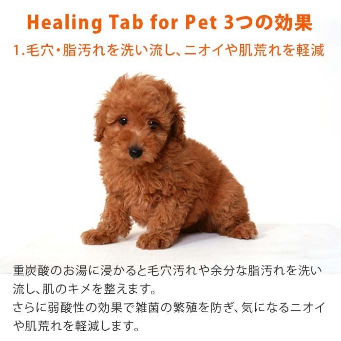 ペット用炭酸入浴剤 ヒーリングタブ 30錠 | ペット 入浴剤 犬 入浴剤 炭酸 入浴剤 犬のお手入れ 炭酸入浴剤 ペットケア【送料無料】 |  | 05