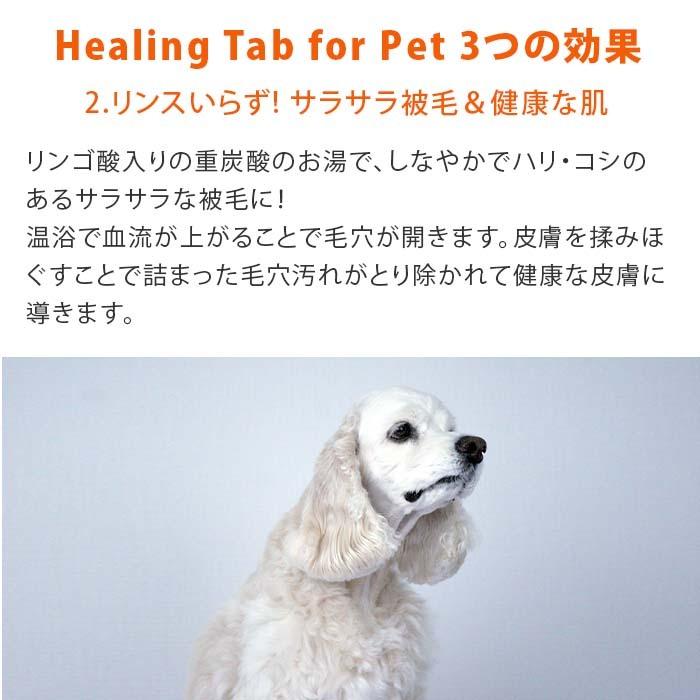ペット用炭酸入浴剤 ヒーリングタブ 30錠 | ペット 入浴剤 犬 入浴剤 炭酸 入浴剤 犬のお手入れ 炭酸入浴剤 ペットケア【送料無料】 |  | 06