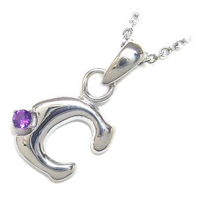 ネックレス レディース 天然石 イニシャル C イニシャル 2月誕生石 アメジストペンダント ネックレス CanCam掲載 安い オーダー