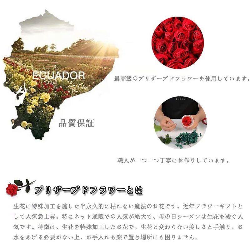 ［即日発送］ プリザーブドフラワー ガラスドーム ケース入り プレゼント 花 結婚記念日 妻 バラ ギフト ぶりざーどフラワー 薔薇 ドライフラワー アレ 【K1710614236】(9961円)