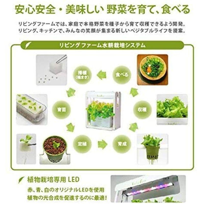 リビングファーム 水耕栽培器キット ココベジth (高輝度白色系LED付き) リーフレタス種付き 室内 栽培キット