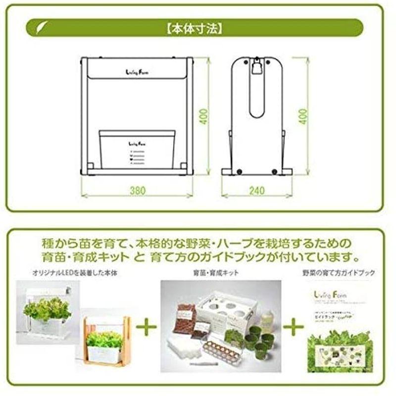 リビングファーム 水耕栽培器キット ココベジth (高輝度白色系LED付き) リーフレタス種付き 室内 栽培キット