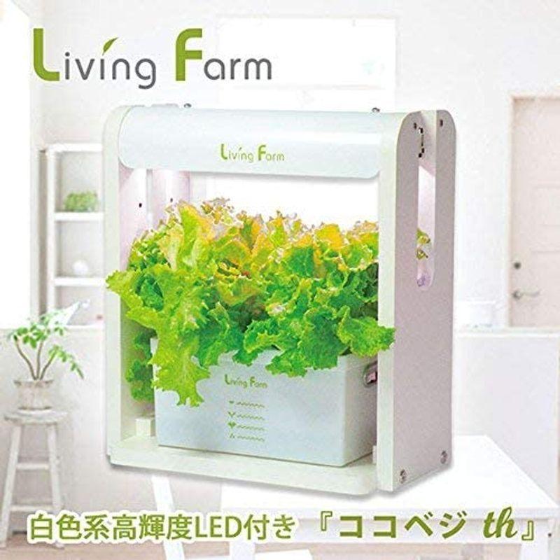 リビングファーム 水耕栽培器キット ココベジth (高輝度白色系LED付き) リーフレタス種付き 室内 栽培キット
