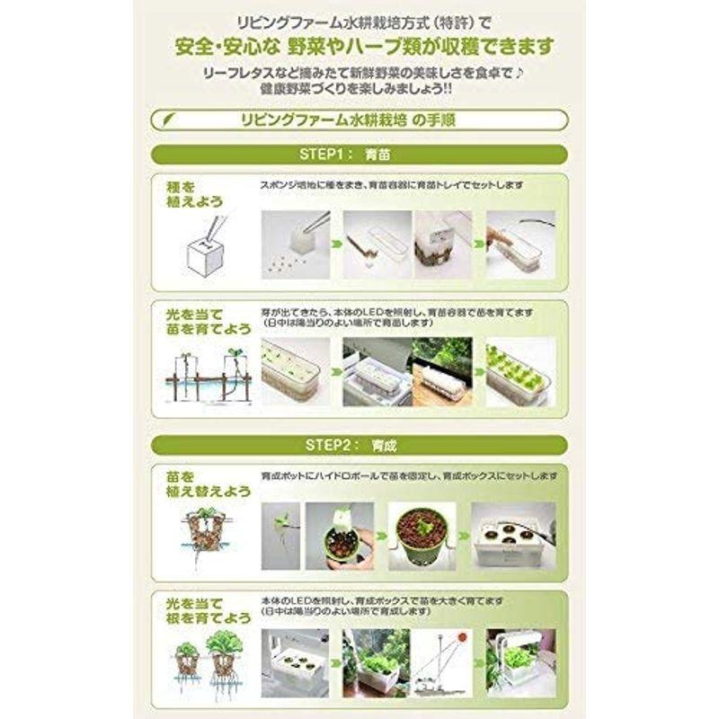 リビングファーム 水耕栽培器キット ココベジth (高輝度白色系LED付き) リーフレタス種付き 室内 栽培キット