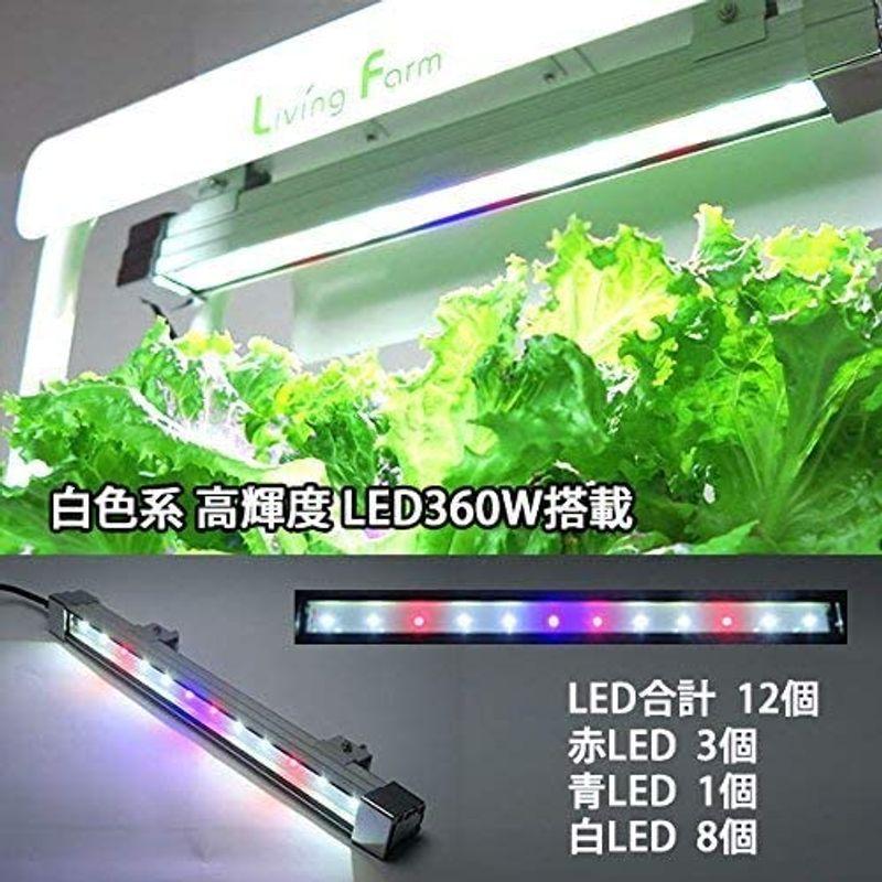 リビングファーム 水耕栽培器キット ココベジth (高輝度白色系LED付き) リーフレタス種付き 室内 栽培キット