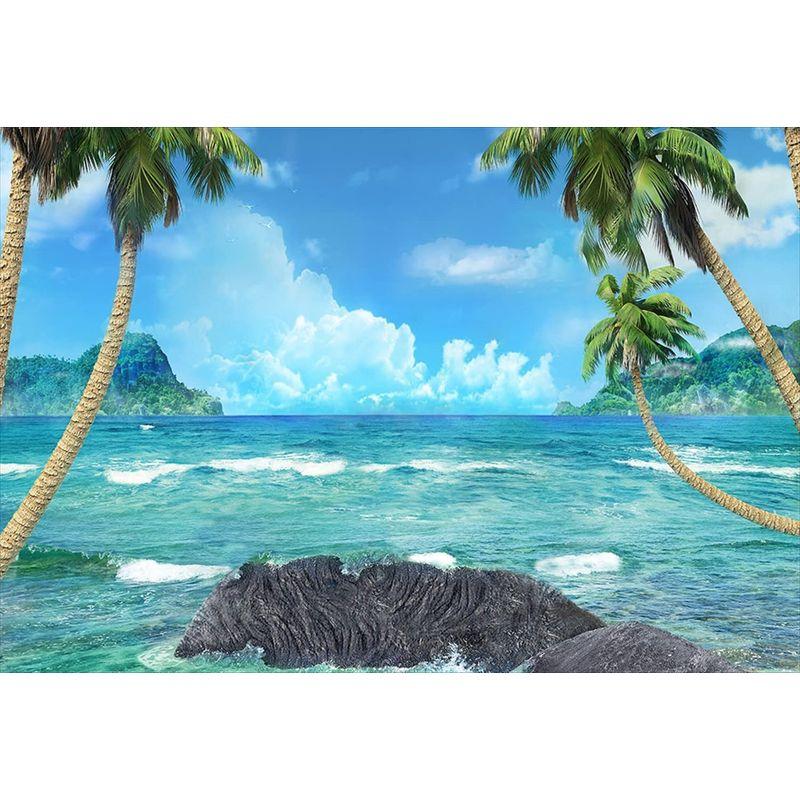 オーダー用写真です。 バック紙 背景紙 海 夏 船 ビーチ 青い空 ココナッツツリー 波