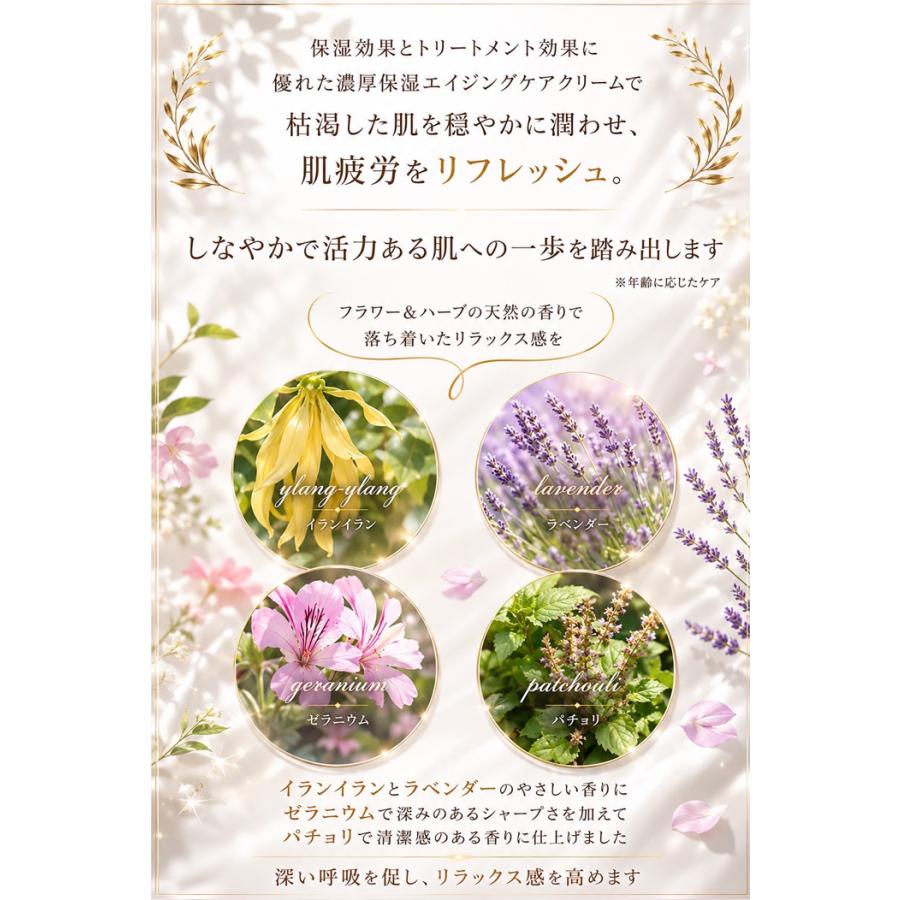 送料無料 ナイアシンアミド フラーレン セラミド 乾燥肌 保湿 濃密保湿