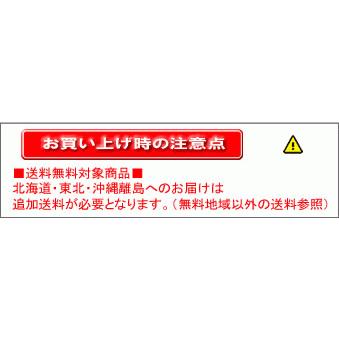 医)日本製 パルスオキシメーター パルキシープラス EC100E 国産 【一部地域除き送料無料】【G.Wも休まず発送！土曜除く】 |  | 08