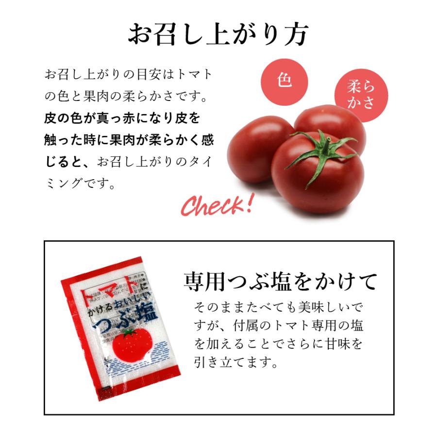 予約】日本野菜ソムリエ協会サミット2年連続金賞受賞 フルーツトマト