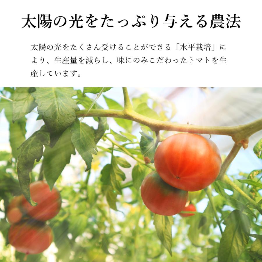 日本野菜ソムリエ協会サミット2年連続金賞受賞 フルーツトマト 懐味