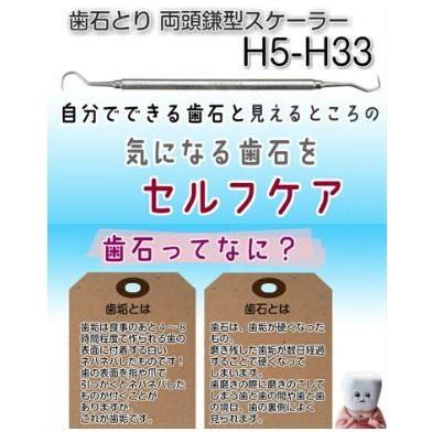 歯石取り ヤニ取り 両頭鎌型スケーラー H5-H33 : ピュアデント - 通販