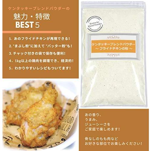 在庫あり 即納 ケンタッキーブレンドパウダー フライドチキンの素 粉 2g シーズニングミックス からあげの粉 からあげの素 Aynaelda Com